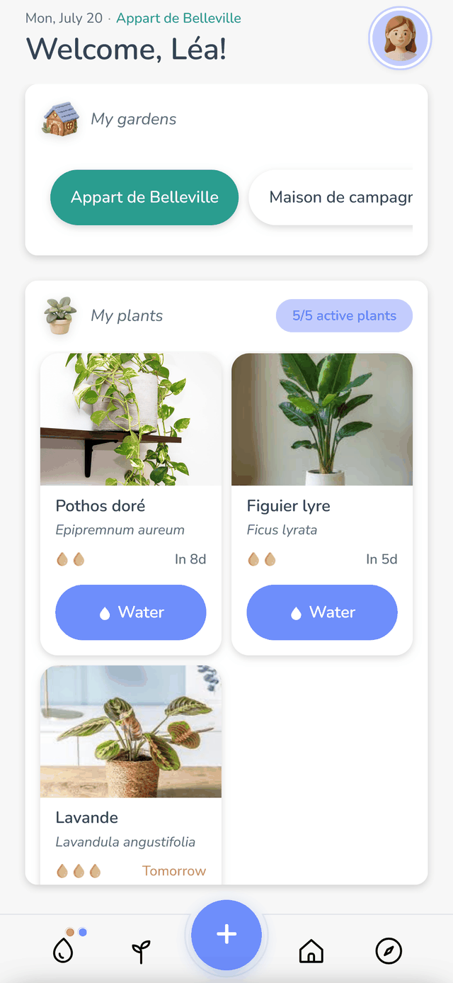 Capture d'écran Famileaf : l'écran d'accueil affiche la liste des plantes du foyer, avec un bouton Arroser sur chaque carte.